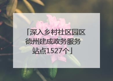 深入乡村社区园区 德州建成政务服务站点1527个