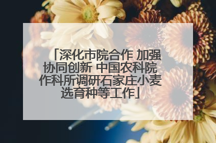深化市院合作 加强协同创新 中国农科院作科所调研石家庄小麦选育种等工作