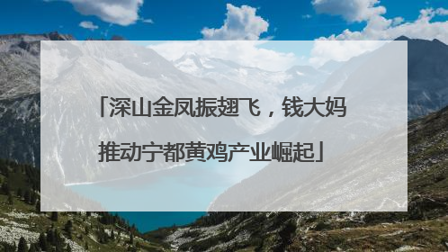 深山金凤振翅飞，钱大妈推动宁都黄鸡产业崛起