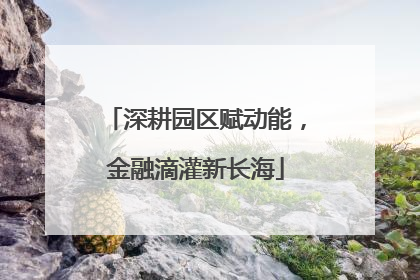 深耕园区赋动能，金融滴灌新长海