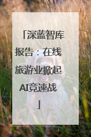 深蓝智库报告：在线旅游业掀起AI竞速战
