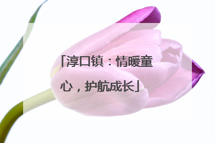 淳口镇：情暖童心，护航成长