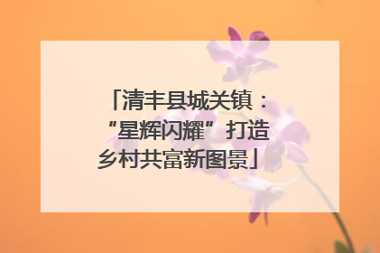 清丰县城关镇：“星辉闪耀”打造乡村共富新图景