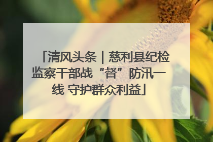 清风头条｜慈利县纪检监察干部战“督”防汛一线 守护群众利益