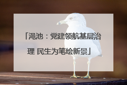 渑池：党建领航基层治理 民生为笔绘新景