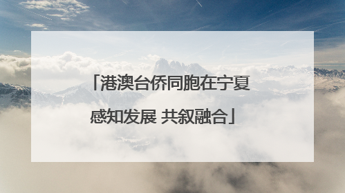 港澳台侨同胞在宁夏感知发展 共叙融合
