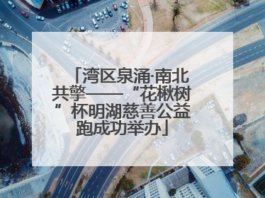 湾区泉涌·南北共擎——“花楸树”杯明湖慈善公益跑成功举办