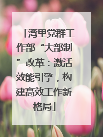 湾里党群工作部“大部制”改革：激活效能引擎，构建高效工作新格局