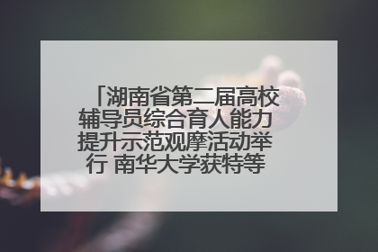 湖南省第二届高校辅导员综合育人能力提升示范观摩活动举行 南华大学获特等奖和一等奖