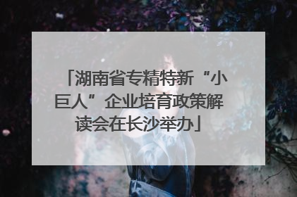湖南省专精特新“小巨人”企业培育政策解读会在长沙举办