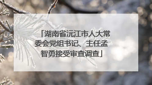 湖南省沅江市人大常委会党组书记、主任孟智勇接受审查调查