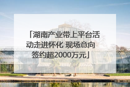 湖南产业带上平台活动走进怀化 现场意向签约超2000万元