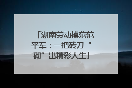 湖南劳动模范范平军：一把砖刀“砌”出精彩人生