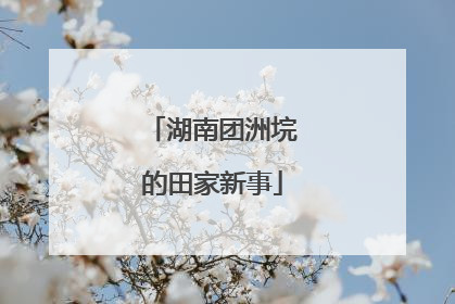 湖南团洲垸的田家新事