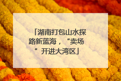 湖南打包山水探路新蓝海，“卖场”开进大湾区