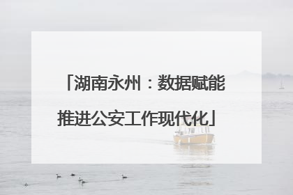 湖南永州：数据赋能推进公安工作现代化