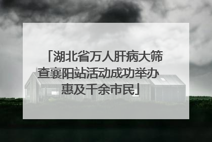 湖北省万人肝病大筛查襄阳站活动成功举办 惠及千余市民