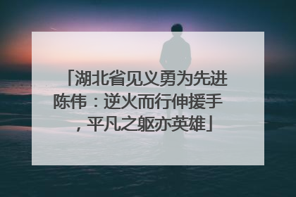 湖北省见义勇为先进陈伟：逆火而行伸援手，平凡之躯亦英雄