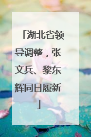 湖北省领导调整，张文兵、黎东辉同日履新