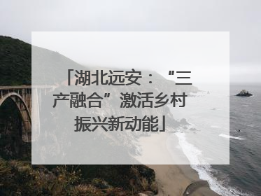 湖北远安：“三产融合”激活乡村振兴新动能