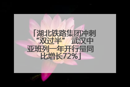 湖北铁路集团冲刺“双过半” 武汉中亚班列一年开行量同比增长72%