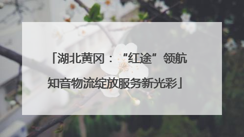 湖北黄冈：“红途”领航 知音物流绽放服务新光彩