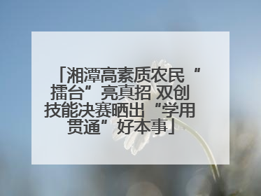 湘潭高素质农民“擂台”亮真招 双创技能决赛晒出“学用贯通”好本事