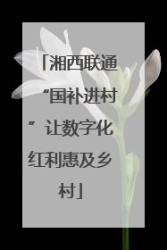 湘西联通“国补进村”让数字化红利惠及乡村