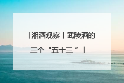 湘酒观察丨武陵酒的三个“五十三 ”