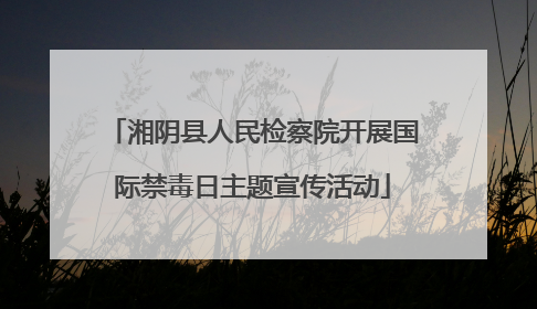 湘阴县人民检察院开展国际禁毒日主题宣传活动