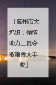 滕州市大坞镇：倾情助力三夏夺取粮食大丰收