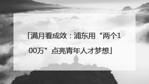 满月看成效：浦东用“两个100万”点亮青年人才梦想