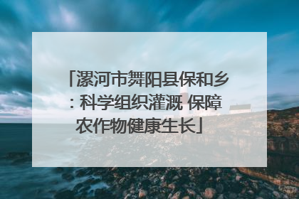 漯河市舞阳县保和乡：科学组织灌溉 保障农作物健康生长
