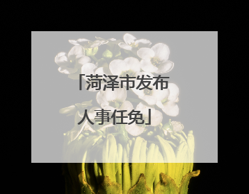 菏泽市发布人事任免