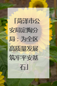 菏泽市公安局定陶分局：为全区高质量发展筑牢平安基石
