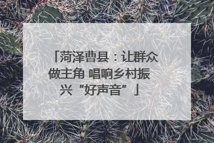 菏泽曹县：让群众做主角 唱响乡村振兴“好声音”