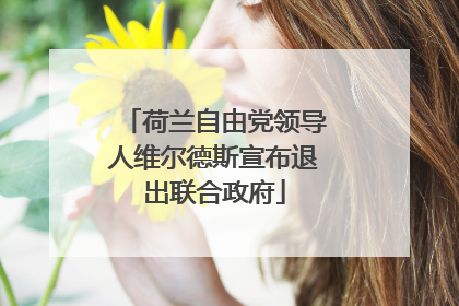 荷兰自由党领导人维尔德斯宣布退出联合政府