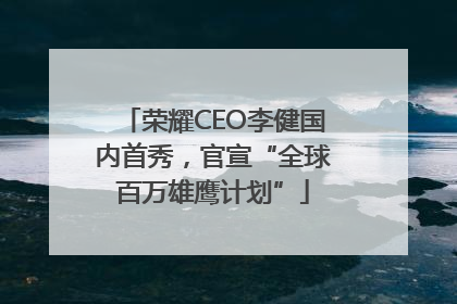 荣耀CEO李健国内首秀，官宣“全球百万雄鹰计划”