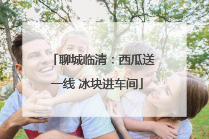 聊城临清：西瓜送一线 冰块进车间