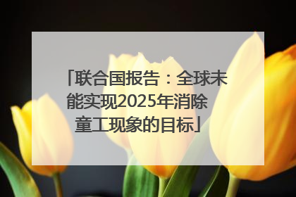 联合国报告：全球未能实现2025年消除童工现象的目标