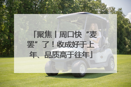 聚焦丨周口快“麦罢”了！收成好于上年、品质高于往年