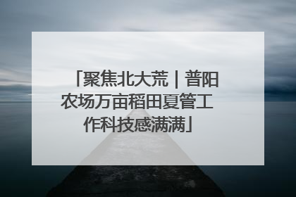 聚焦北大荒｜普阳农场万亩稻田夏管工作科技感满满