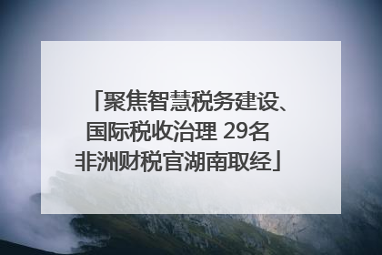 聚焦智慧税务建设、国际税收治理 29名非洲财税官湖南取经