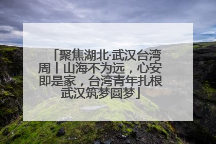 聚焦湖北·武汉台湾周丨山海不为远，心安即是家，台湾青年扎根武汉筑梦圆梦