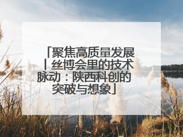聚焦高质量发展丨丝博会里的技术脉动：陕西科创的突破与想象