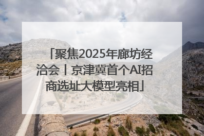 聚焦2025年廊坊经洽会丨京津冀首个AI招商选址大模型亮相