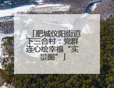 肥城仪阳街道下三合村：党群连心绘幸福“实景图”