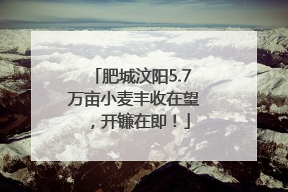 肥城汶阳5.7万亩小麦丰收在望，开镰在即！