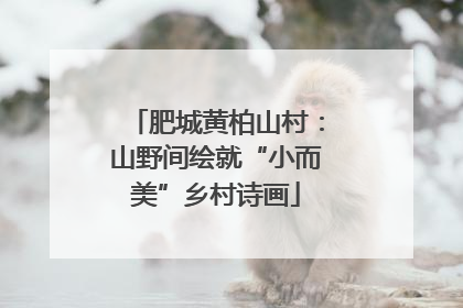 肥城黄柏山村：山野间绘就“小而美”乡村诗画