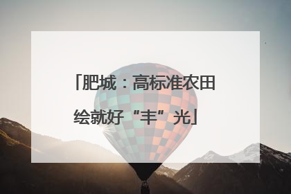 肥城：高标准农田绘就好“丰”光